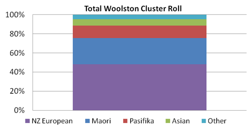 Image showing ethnic composition of Woolston cluster
