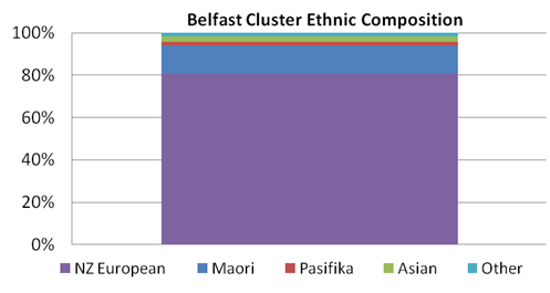 Image showing ethnic composition for Belfast cluster.
